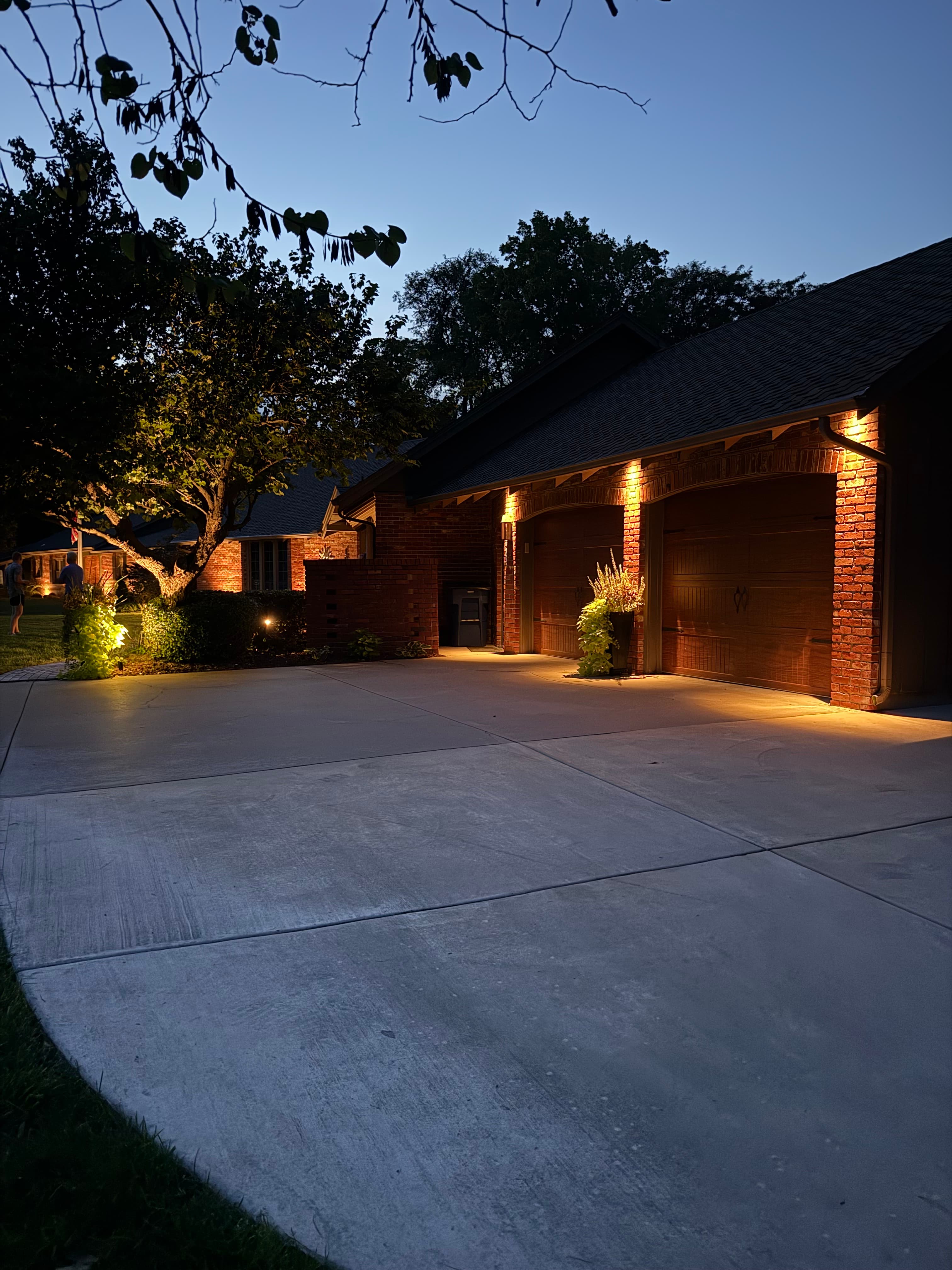 Evening view of illuminated landscaping