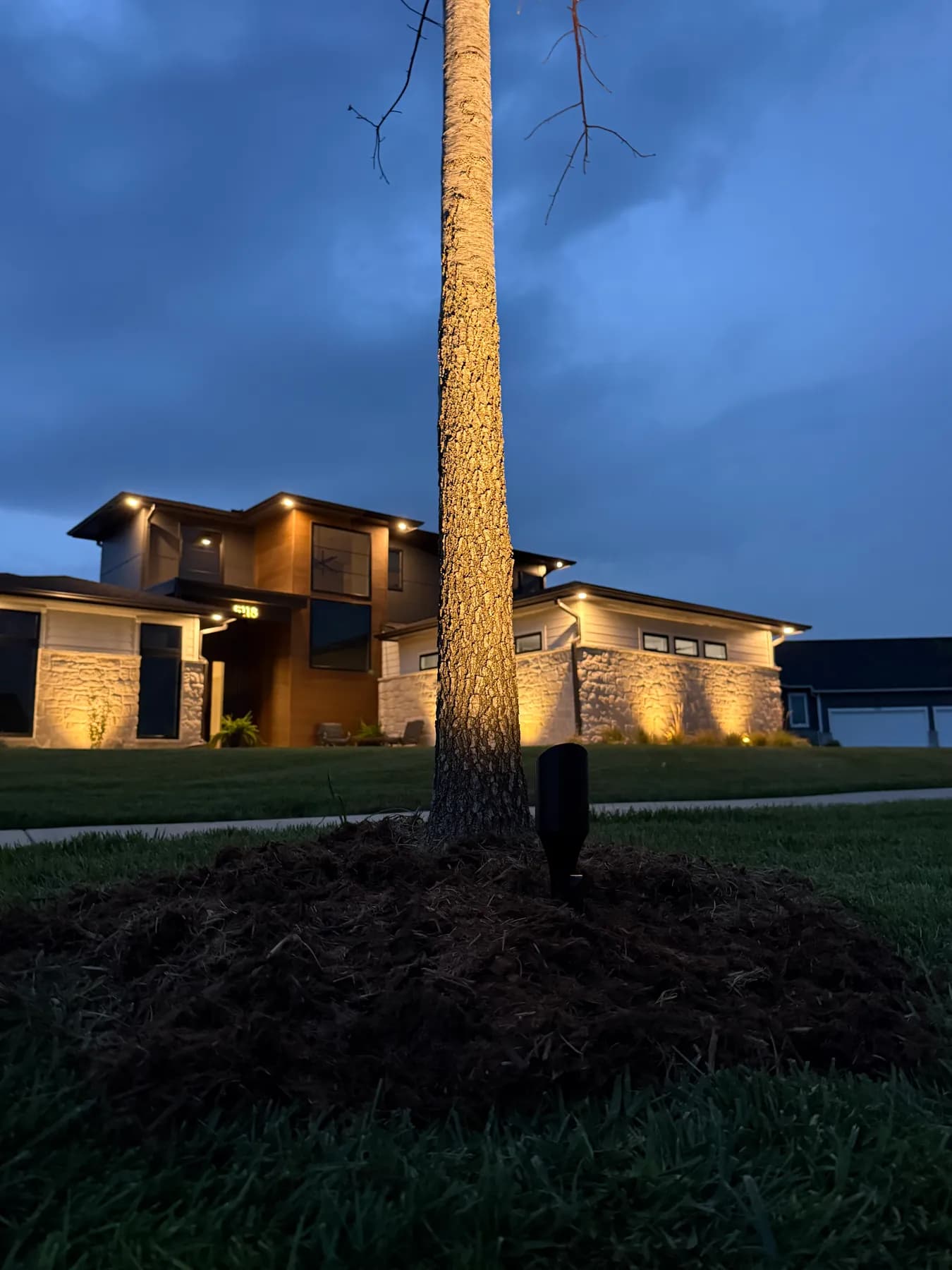 Coves home framed by a tree trunk with the facade lit behind it