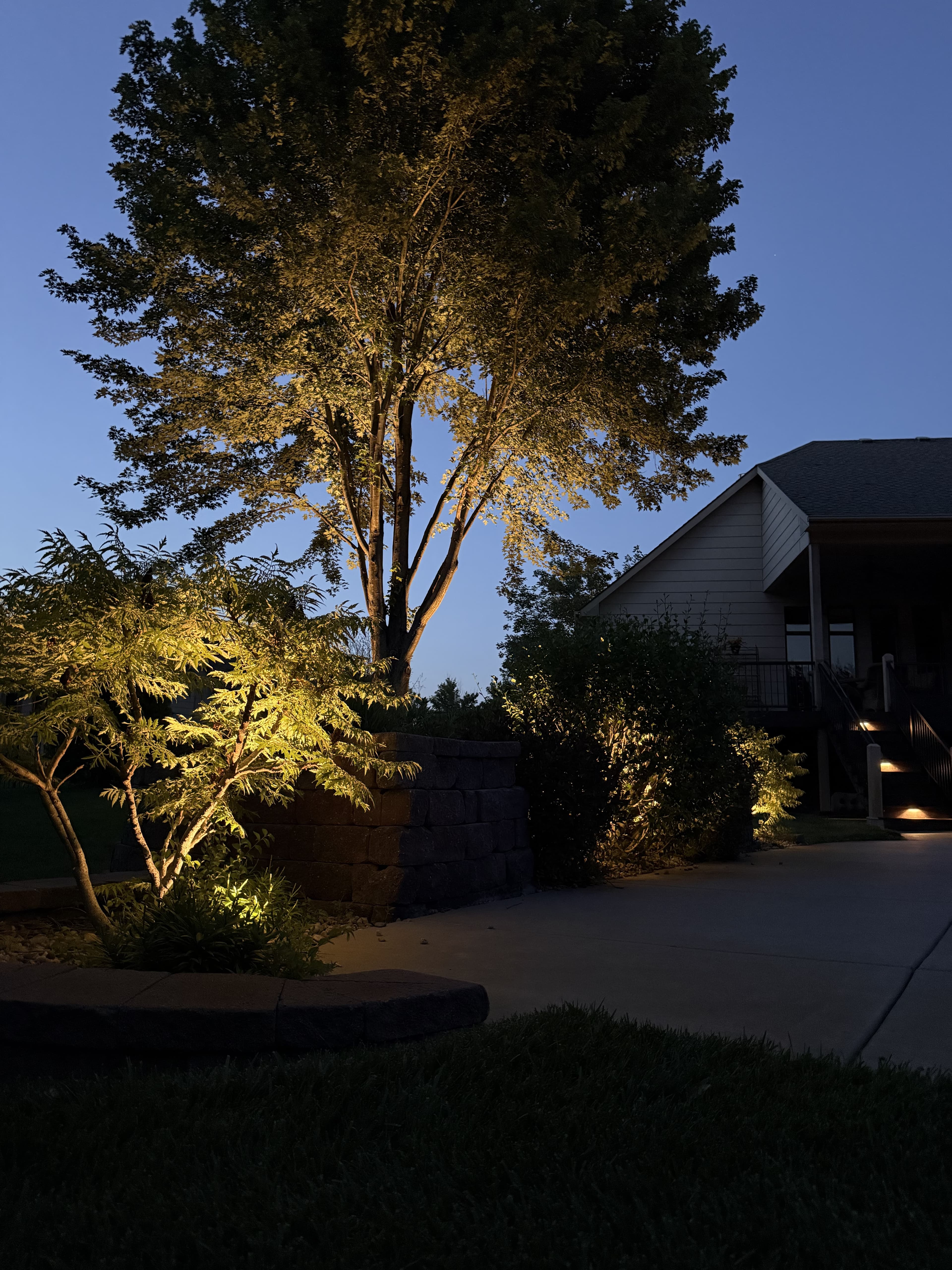 Reeds Cove backyard lighting near pool walkways