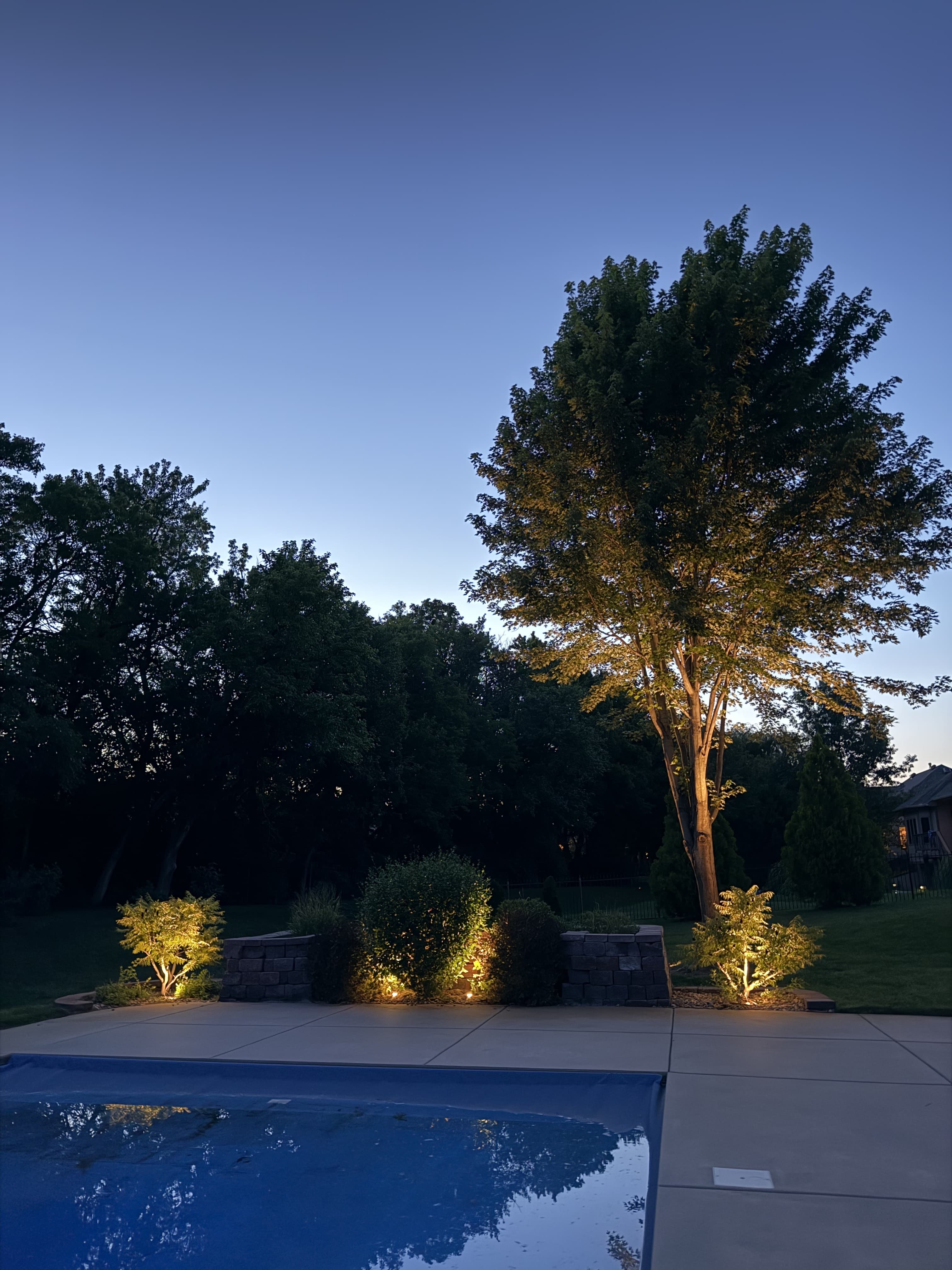 Reeds Cove front yard lighting and tree accents